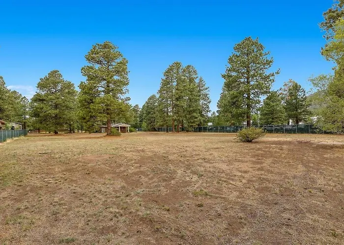 Historic Ranch House Ac On Forest Acres In Town